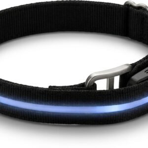 LumaGuard Waterproof LED Dog Collar — USB Rechargeable